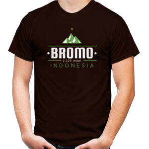Bromo Indonesia